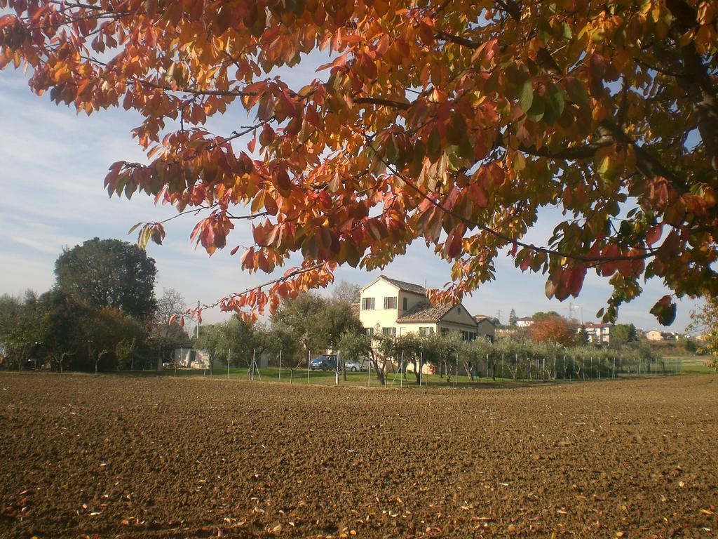 오시모 I Ciliegi B&B 외부 사진